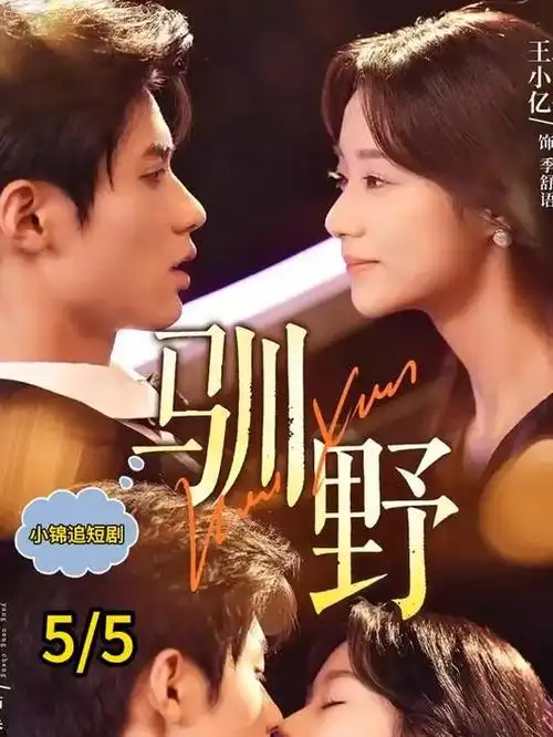 机动搜查队404